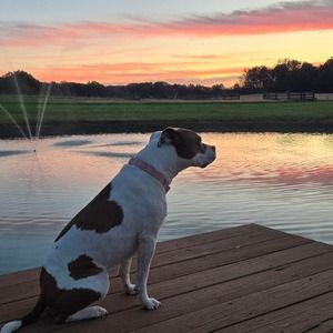 Meet your Posher, Cynthia